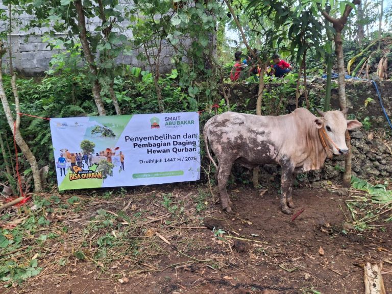 Read more about the article SMAIT Abu Bakar Yogyakarta Selenggarakan Kurban dan Bakti Sosial di Gunungkidul